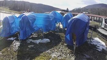 Красія 31 березня 2020 року, 2020-03-31 16:00