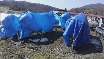 Красія 3 квітня 2020 року, 2020-04-03 13:00