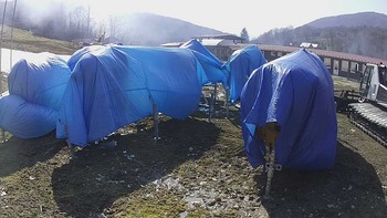 Красія 9 квітня 2020 року, 2020-04-09 16:00