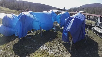 Красія 12 квітня 2020 року, 2020-04-12 16:00