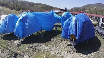 Красія 22 квітня 2020 року, 2020-04-22 13:00