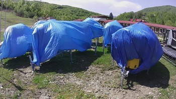 Красія 10 травня 2020 року, 2020-05-10 13:00