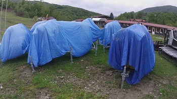 Красія 17 травня 2020 року, 2020-05-17 13:00