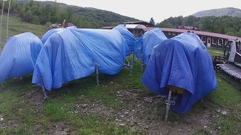 Красія 18 травня 2020 року, 2020-05-18 16:00