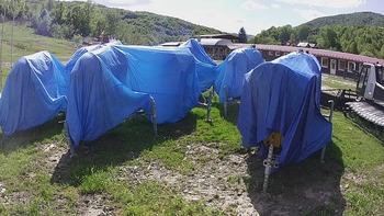 Красія 21 травня 2020 року, 2020-05-21 16:00