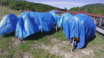 Красія 22 травня 2020 року, 2020-05-22 10:00