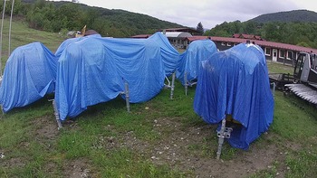 Красія 25 травня 2020 року, 2020-05-25 10:00