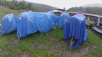 Красія 25 травня 2020 року, 2020-05-25 13:00