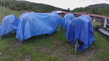 Красія 27 травня 2020 року, 2020-05-27 10:00