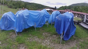 Красія 29 травня 2020 року, 2020-05-29 13:00