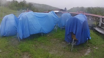 Красія 31 травня 2020 року, 2020-05-31 10:00