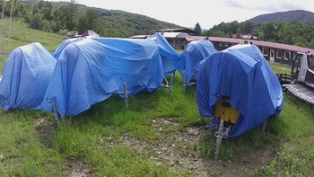 Красія 12 червня 2020 року, 2020-06-12 16:00