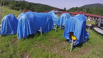 Красія 13 червня 2020 року, 2020-06-13 10:00