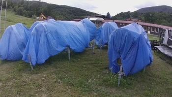 Красія 8 липня 2020 року, 2020-07-08 13:00
