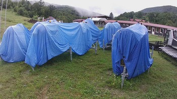 Красія 17 липня 2020 року, 2020-07-17 10:00