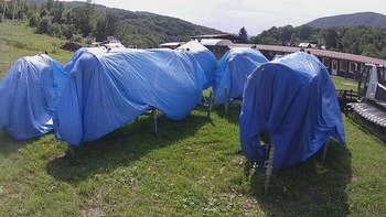 Красія 21 липня 2020 року, 2020-07-21 16:00