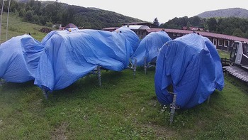 Красія 28 липня 2020 року, 2020-07-28 16:00