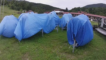 Красія 29 липня 2020 року, 2020-07-29 13:00