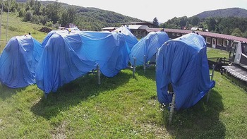 Красія 29 липня 2020 року, 2020-07-29 16:00