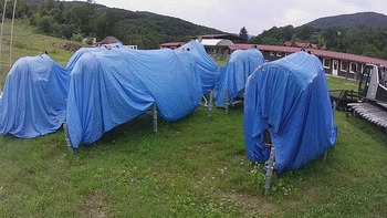 Красія 31 липня 2020 року, 2020-07-31 13:00