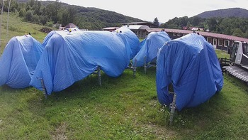 Красія 31 липня 2020 року, 2020-07-31 16:00