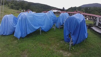 Красія 4 серпня 2020 року, 2020-08-04 10:00