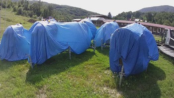Красія 4 серпня 2020 року, 2020-08-04 16:00