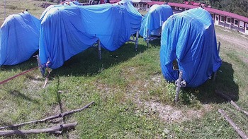 Красія 12 серпня 2020 року, 2020-08-12 13:00