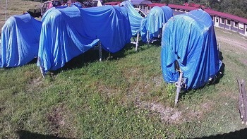 Красія 13 серпня 2020 року, 2020-08-13 10:00