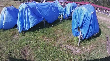 Красія 14 серпня 2020 року, 2020-08-14 10:00
