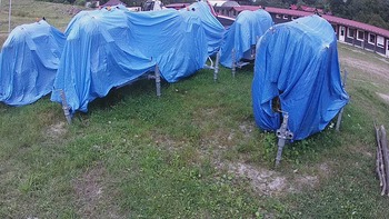 Красія 14 серпня 2020 року, 2020-08-14 16:00