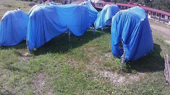 Красія 15 серпня 2020 року, 2020-08-15 13:00