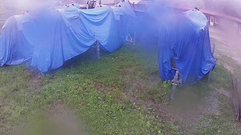 Красія 15 серпня 2020 року, 2020-08-15 16:00
