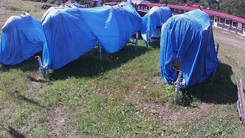 Красія 16 серпня 2020 року, 2020-08-16 13:00