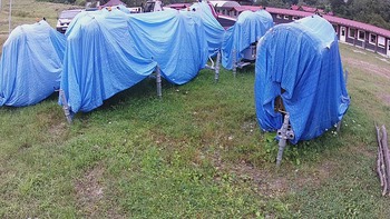 Красія 17 серпня 2020 року, 2020-08-17 10:00