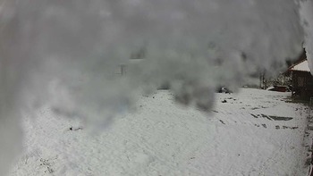 Красія 4 грудня 2020 року, 2020-12-04 10:00