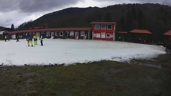 Красія 24 січня 2021 року, 2021-01-24 13:00