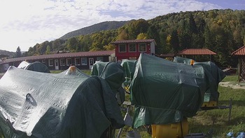 Красія 5 жовтня 2021 року, 2021-10-05 16:00