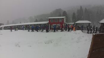Красія 20 січня 2022 року, 2022-01-20 13:00