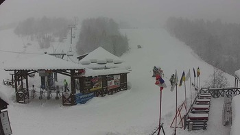 Красія 2 січня 2019 року, 2019-01-02 10:00