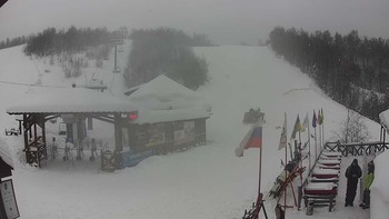 Красія 8 січня 2019 року, 2019-01-08 13:00