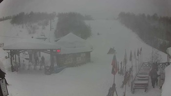 Красія 15 січня 2019 року, 2019-01-15 16:00