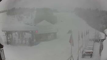 Красія 16 січня 2019 року, 2019-01-16 10:00