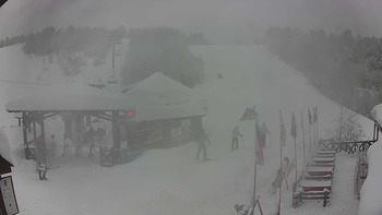 Красія 16 січня 2019 року, 2019-01-16 13:00