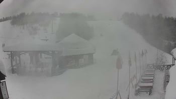 Красія 17 січня 2019 року, 2019-01-17 10:00