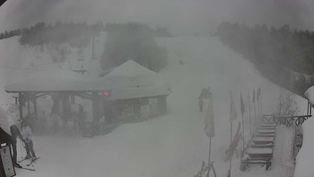 Красія 17 січня 2019 року, 2019-01-17 13:00