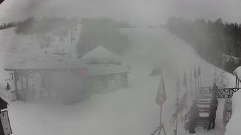 Красія 20 січня 2019 року, 2019-01-20 10:00
