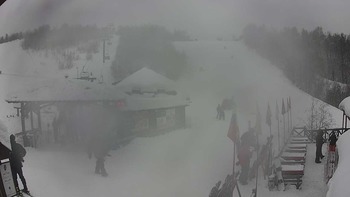 Красія 20 січня 2019 року, 2019-01-20 13:00