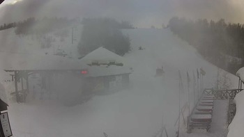 Красія 21 січня 2019 року, 2019-01-21 10:00