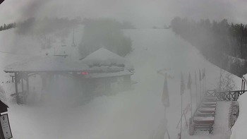 Красія 22 січня 2019 року, 2019-01-22 10:00